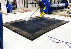 Area rug being washed during a full-immersion rug cleaning